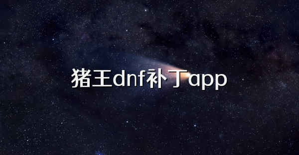 猪王dnf补丁app