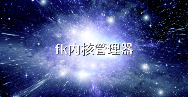 fk内核管理器