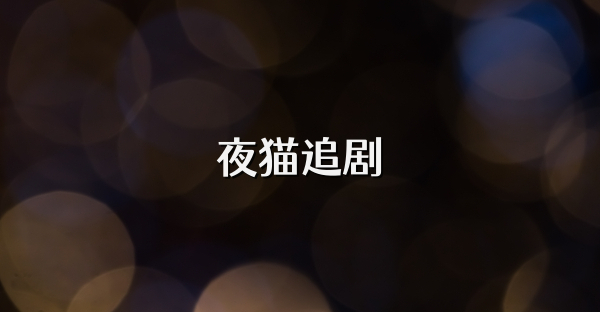 夜猫追剧