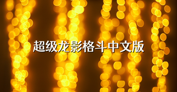 超级龙影格斗中文版