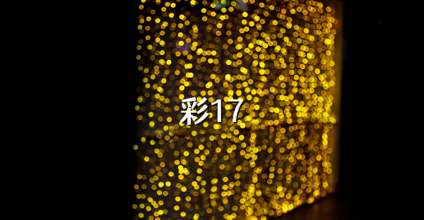 彩17