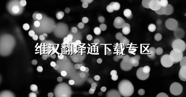 维汉翻译通下载专区