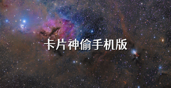 卡片神偷手机版