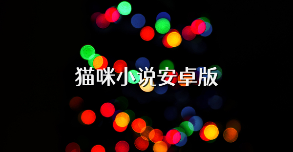 猫咪小说安卓版