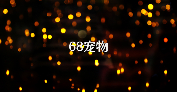 68宠物