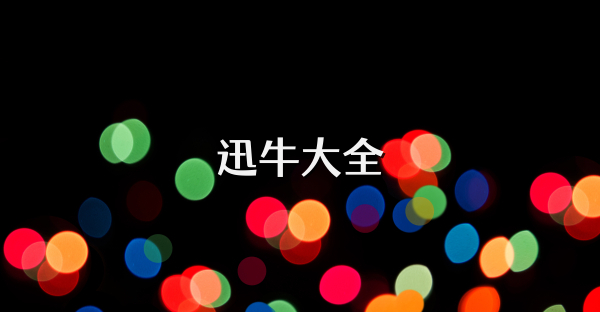 迅牛大全