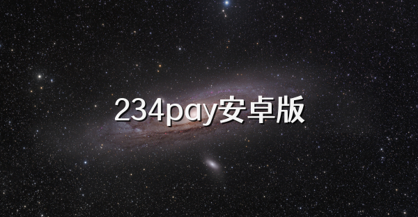 234pay安卓版