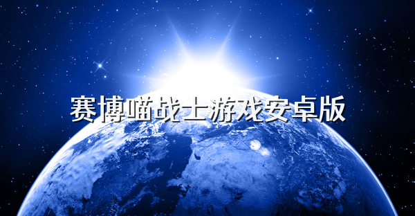 赛博喵战士游戏安卓版