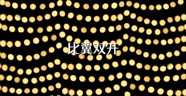 比翼双开