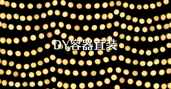 DY容器直装