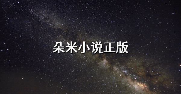 朵米小说正版