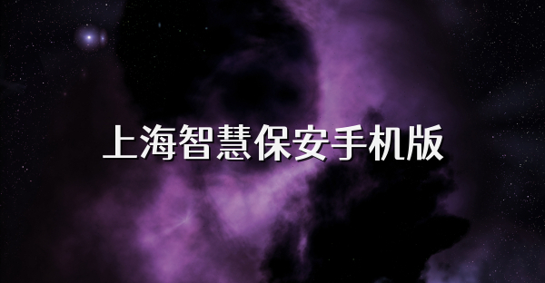 上海智慧保安手机版