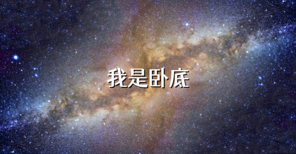 我是卧底