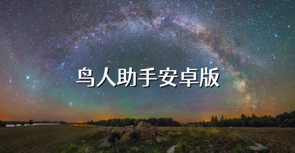 鸟人助手安卓版