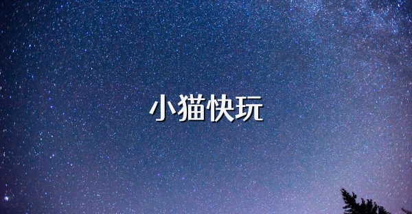 小猫快玩