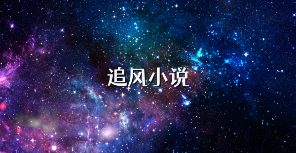 追风小说