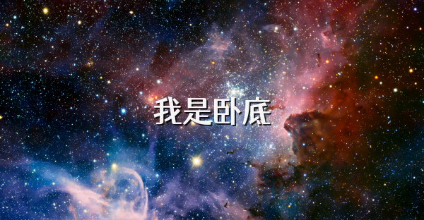 我是卧底