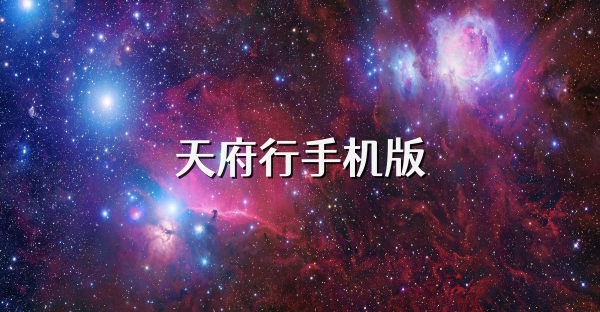 天府行手机版