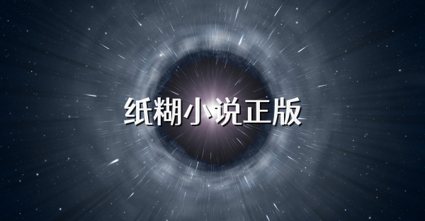 纸糊小说正版