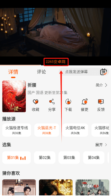 火猫影视app官方 截图4