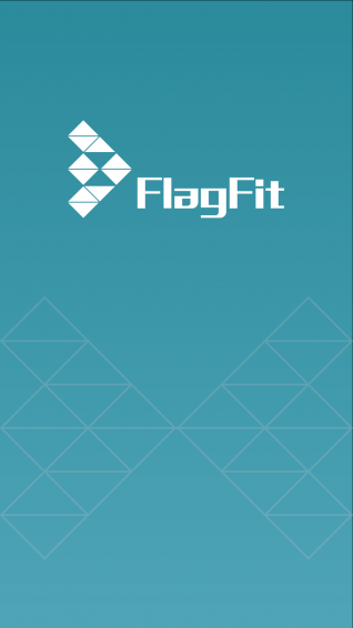 FlagFit 1