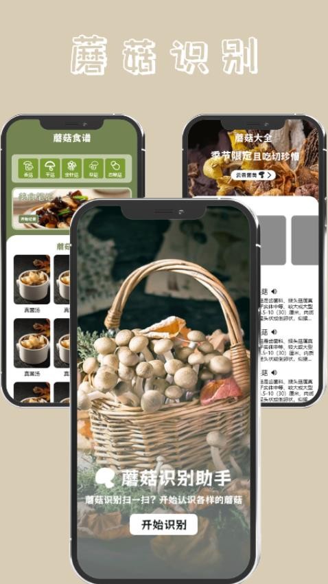 蘑菇识别高手app 截图2