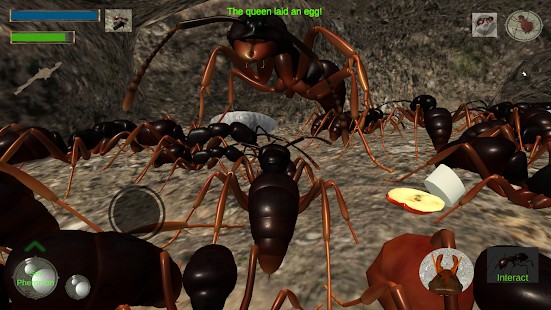 3d蚂蚁模拟器 1