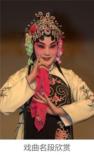 戏曲名段欣赏手机版 截图3