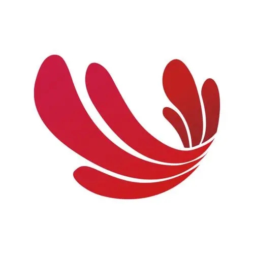 鸿雁TV安卓版