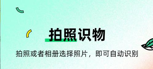 简要:拍照识物软件是一种智能应用程序,通过拍摄照片来识别物体并提供