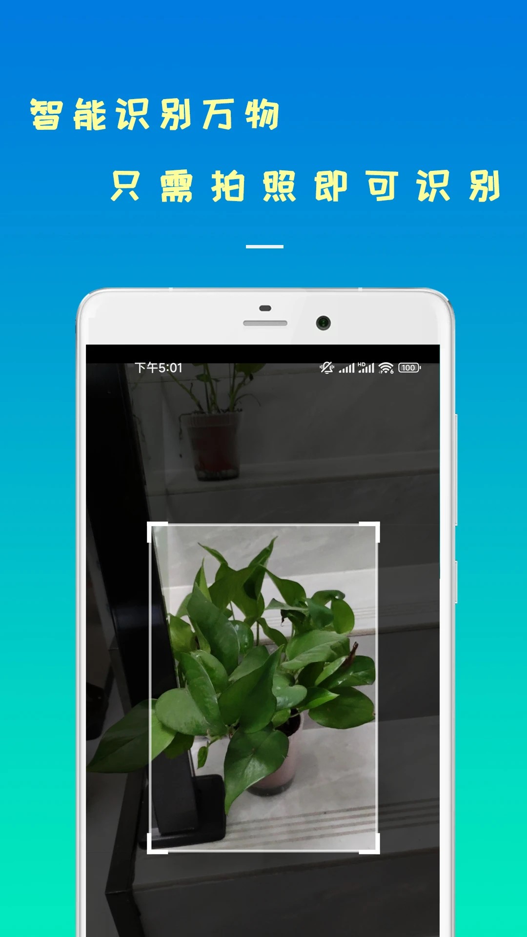 智能识物软件 截图2