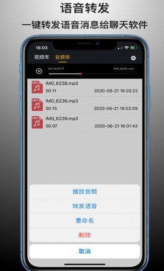语音导出能手 截图3