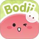 Bodii