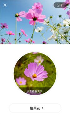 识花君app免费 截图3