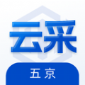 五京云app