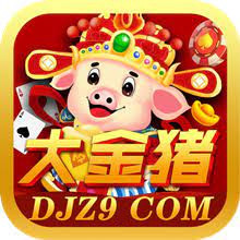 大金猪app