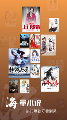 洋葱小说app 截图4