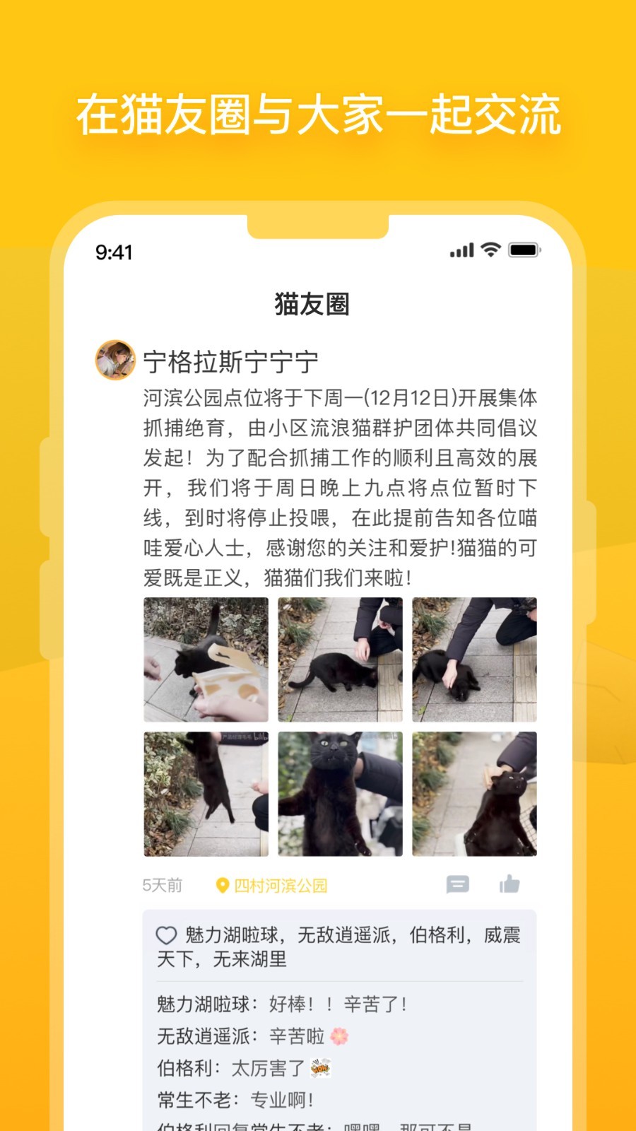 街猫新版 截图2