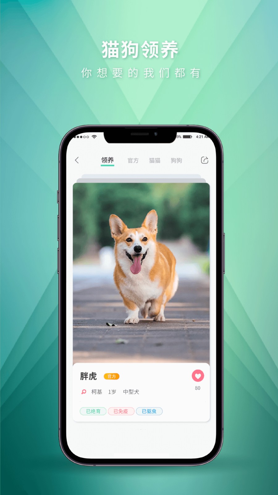 麦道 截图2