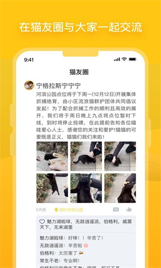 哈啰街猫2024 截图1