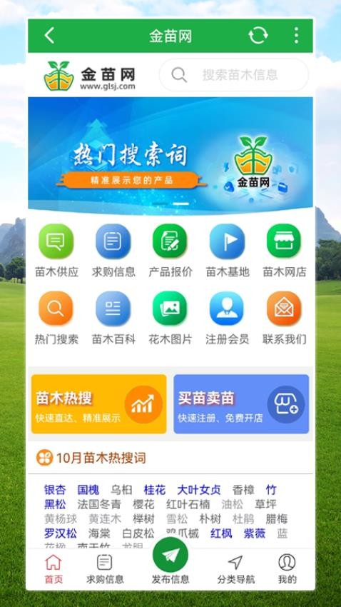 金苗网app 截图3