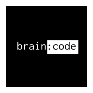 大脑代码(brain code)