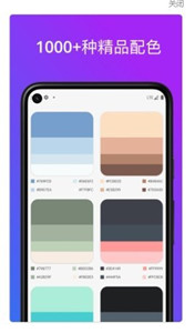 色卡配色 截图2