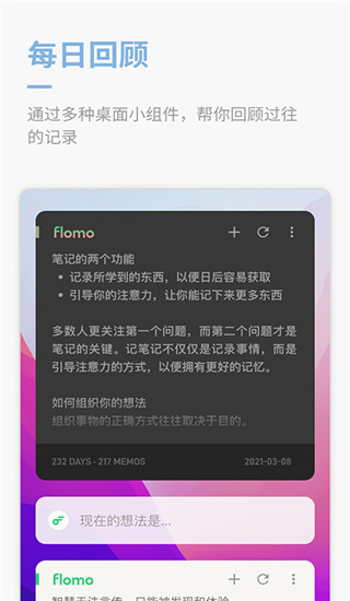 flomo笔记手机版 截图3