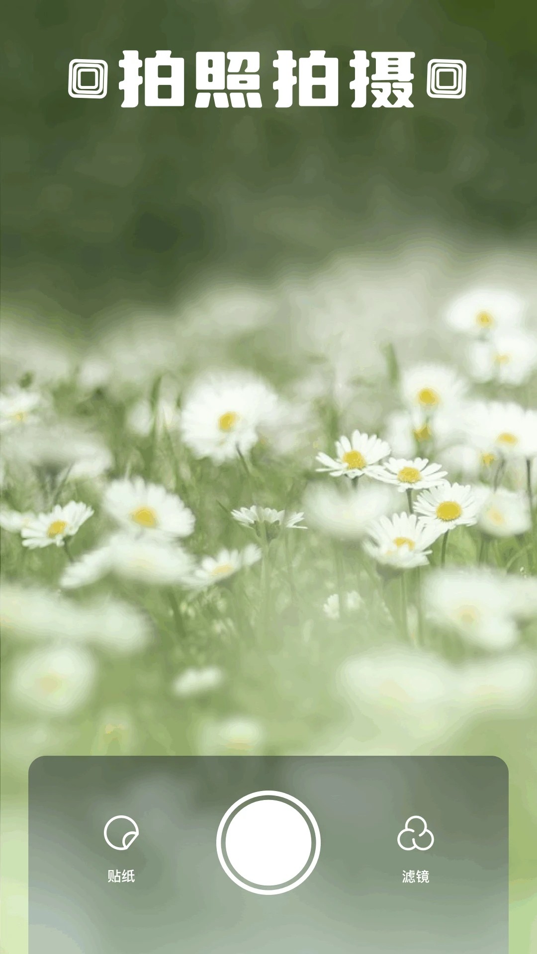 Z动漫安卓版 截图1