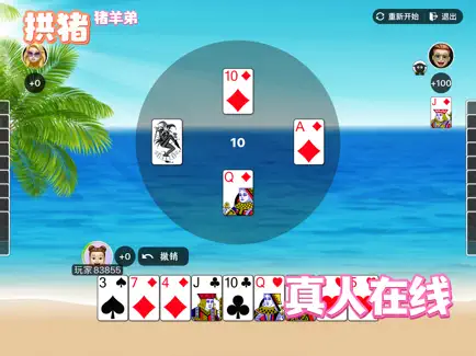 拱猪 截图1
