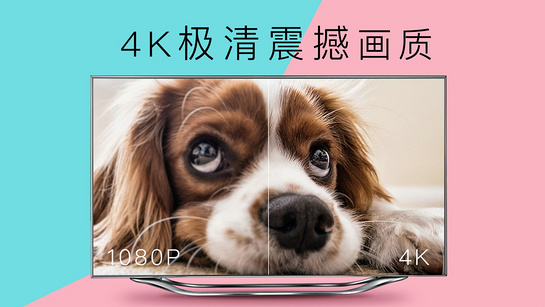 4K花园 截图1