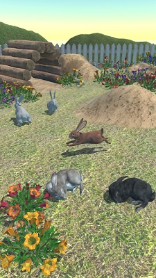 兔子朋友 截图2
