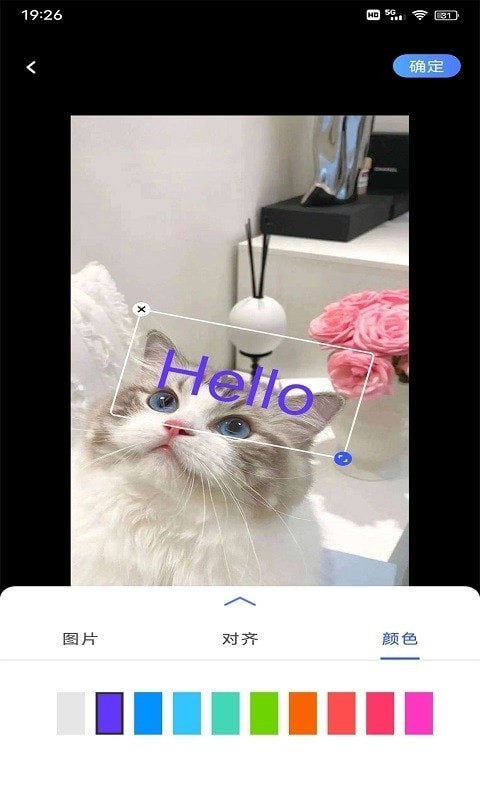 小猪翻译器 截图2