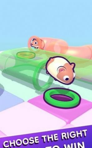 管道仓鼠(TubeHamster) 截图2